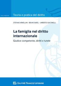 la famiglia nel diritto internazionale. Giudice competente, diritti e tutele