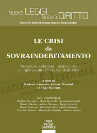 Le crisi da sovraindebitamento. Procedure, soluzioni interpretative e applicazioni del Codice della crisi