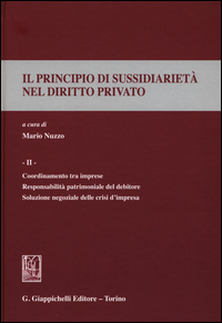 Il principio di sussidiarietà nel diritto privato. Vol. 2: Coordinamento tra imprese. Responsabilità patrimoniale del debitore. Soluzione negoziale delle crisi d'impresa