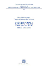 Diritto penale anglo-gallese
