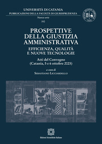 Prospettive della giustizia amministrativa. Efficienza, qualità e nuove tecnologie. Atti del Convegno (Catania, 5 e 6 ottobre 2023)