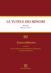Il procedimento