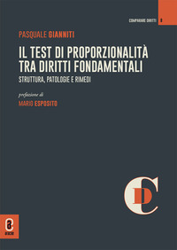 Il test di proporzionalità tra diritti fondamentali. Struttura, patologie e rimedi