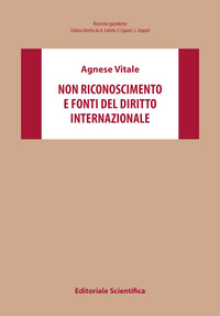 Non riconoscimento e fonti del diritto internazionale